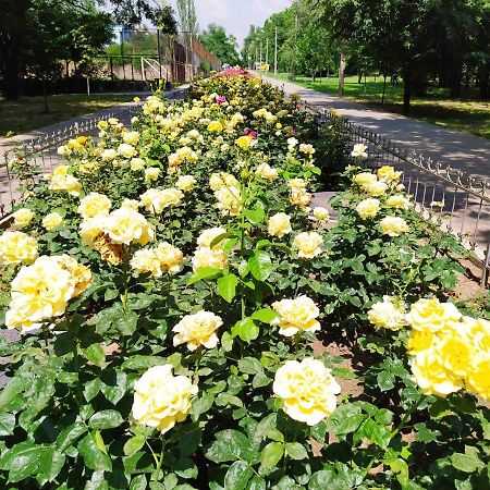 1-Комн. Квартира В Центре Возле Козак Палаца! Zaporizhia Eksteriør billede
